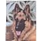 Campoverde Canine Club